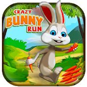 Super Carrot Rush: Collect Baby Carrots & Coins